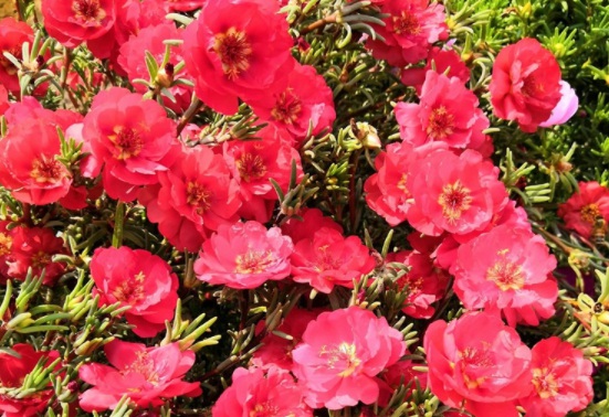 1631087800576576.jpg image.jpg