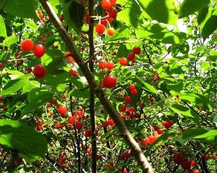 1631112428840524.jpg 1631112428840524.jpg