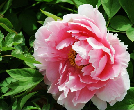 1631113624965050.jpg 1631113624965050.jpg