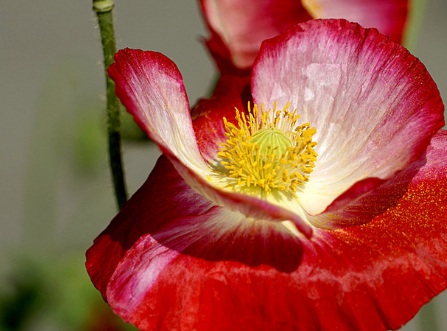 1631113969700020.jpg 1631113969700020.jpg