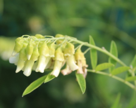 1631114241146490.jpg 1631114241146490.jpg