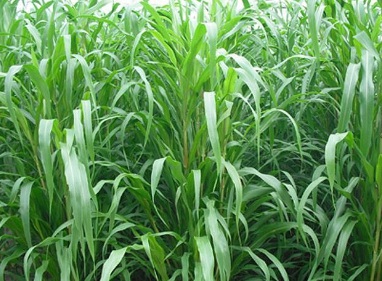 1631114671869820.jpg 1631114671869820.jpg