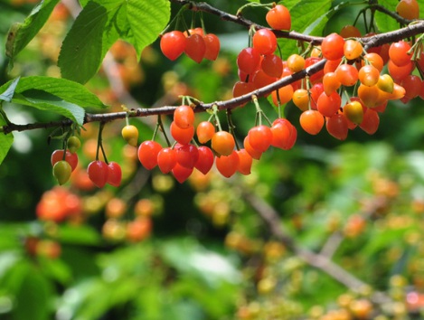 1631114811178662.jpg 1631114811178662.jpg