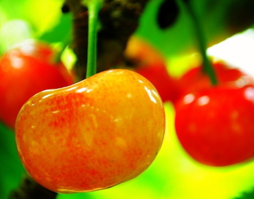 1631114820706484.jpg 1631114820706484.jpg