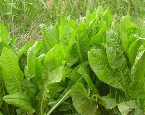 1631115049220174.jpg 1631115049220174.jpg