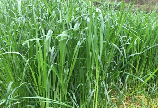 1631156792137165.jpg ddedeb1195ddb65482ec7959ab5331bd_1628476333300298.jpg