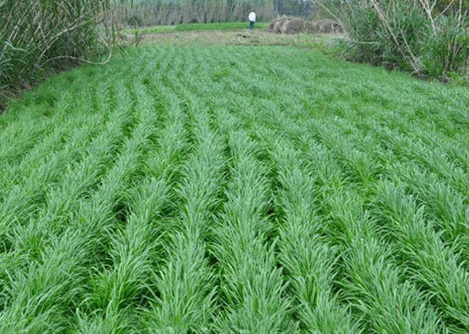 1631156802778187.jpg 1631156802778187.jpg