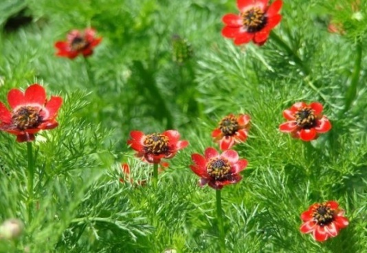 1631160331560847.jpg image.jpg