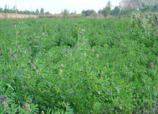 1631160404507139.jpg image.jpg