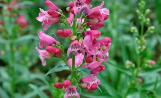 1631161437100873.jpg image.jpg