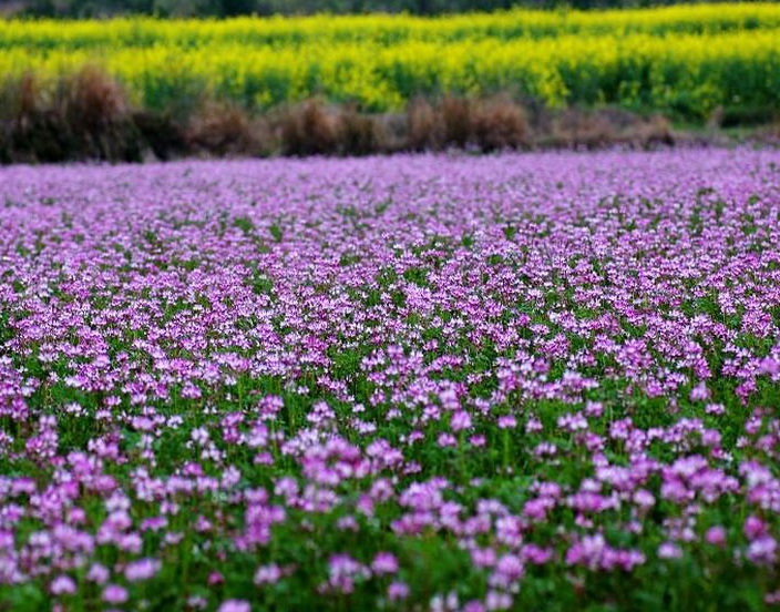 1631166858323181.jpg 1631166858323181.jpg