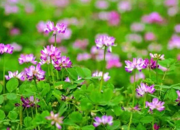 1631166859854680.jpg 1631166859854680.jpg