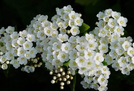 1631174820131884.jpg 1631174820131884.jpg