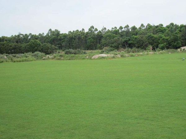 ??aè??é￠??§??-??????-?§???1?3?????§??¤?????·§