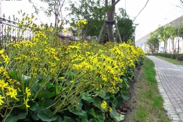 1631181329984516.jpg image.jpg