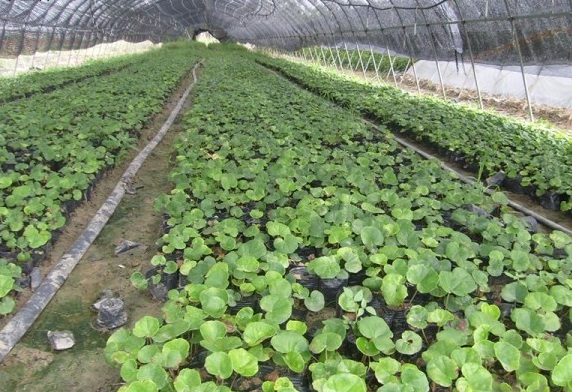 1631181361359225.jpg image.jpg