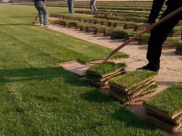 ?¤??1′???é??éo|è????????