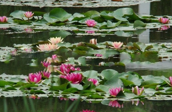 1631189920655160.jpg image.jpg