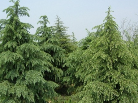 1631422236644285.jpg image.jpg