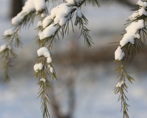 1631422248462898.jpg image.jpg