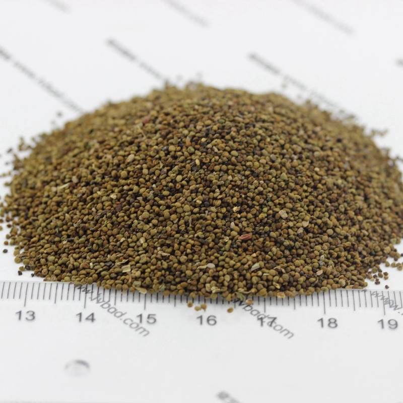 ??????è?2 ??????è?2