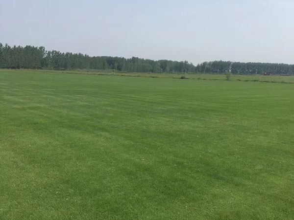 ????2-è??è????a??????