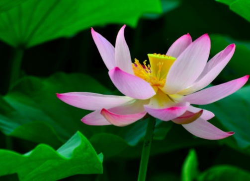 1631442363715411.jpg 1631442363715411.jpg