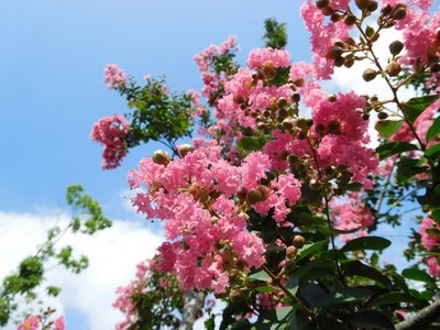 1631446682594608.jpg 1631446682594608.jpg