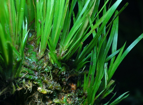 1631453444230393.jpg image.jpg