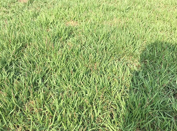 1631523474705521.jpg e9100526c0e5099323aeeb1711f00459_1630849857346585.jpg