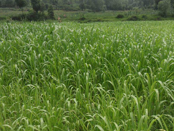 1631585112286668.jpg 6928747feb424b3b259bfeb3198bfbb7_9de2eb31767a99a0f1a26625d5f0025f.jpg