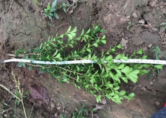 1631606943472841.jpg image.jpg