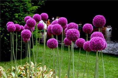 1631668051427796.jpg 1631668051427796.jpg