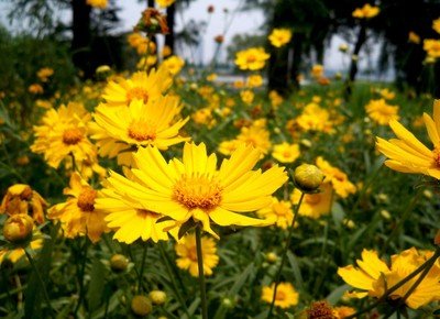 1631671027611512.jpg 1631671027611512.jpg