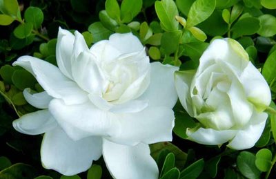 1631673797143967.jpg 1631673797143967.jpg