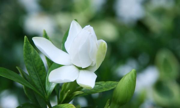 1631673839928986.jpeg d74a23561d64f43dbd54dc8a8eb9666e_3e1b642dd8de4c3eb09ef110eaba9dbb.jpeg