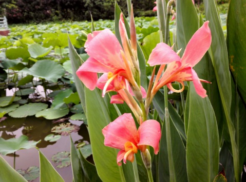 1631749206199338.jpg 1631749206199338.jpg