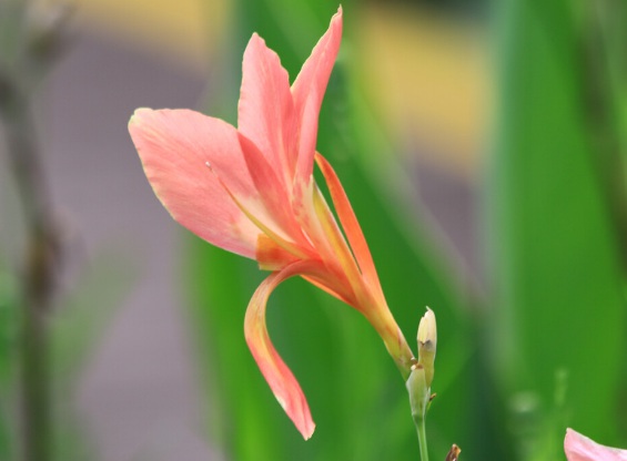 1631749218660332.jpg 1631749218660332.jpg