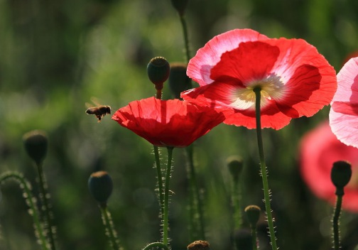 1631752014522312.jpg 1631752014522312.jpg