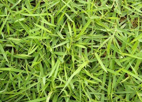 1631752400214843.jpg 1631752400214843.jpg