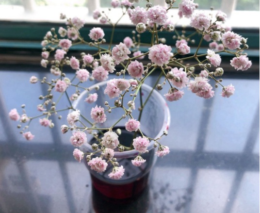 1631787384868579.jpg image.jpg