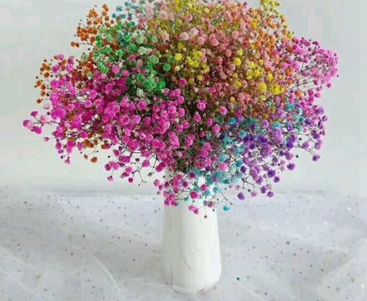 1631787410895301.jpg image.jpg