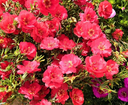 1631788715832823.jpg image.jpg