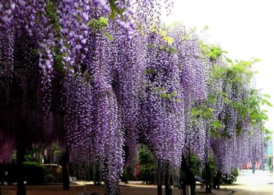 1631789910190083.jpg image.jpg