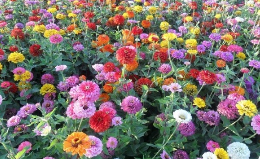 1631797645937415.jpg image.jpg