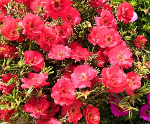 1631799688234012.jpg image.jpg