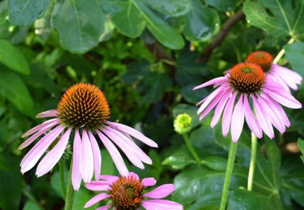 1631843194457918.jpg 1631843194457918.jpg