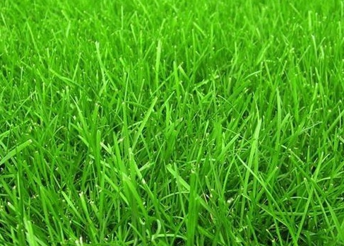 1631843915147863.jpg 1631843915147863.jpg