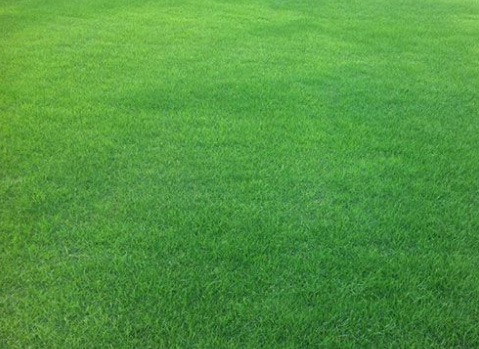 1631843926205743.jpg 1631843926205743.jpg