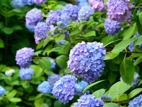 1631844971636192.jpg 1631844971636192.jpg